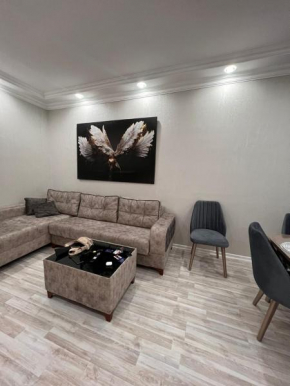 Baku rent house
